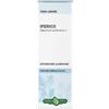 Erba Vita Iperico sommità soluzione idroalcolica integratore per l'umore 50 ml