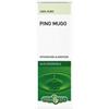 Erba Vita Pino Mugo olio essenziale 100% puro per naso e gola 10 ml