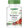 Fairvital | Berberina 500mg - Altamente dosato - Vegan - 90 capsule - Berberina HCl