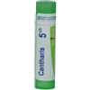 BOIRON SRL Boiron Cantharis 5CH Granuli Confezione da 4g 80 granuli