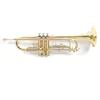 GEWA Roy Benson Bb Trumpet TR-202 (costruzione in ottone resistente, con custodia rettangolare leggera, set di zaini, valvole in acciaio inossidabile di qualità superiore, per musicisti professionisti)