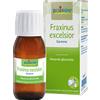 BOIRON Srl Fraxinus Excelsior Gemme MG Boiron 60ml