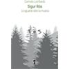 Villaggio Maori Sigur Rós. Lo sguardo oltre la musica