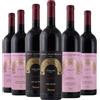 Fantinel Degustazione 6 bt Rossi Friuli - Fantinel