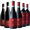 Fattori Degustazione 6 bt Rossi Valpolicella - Fattori