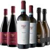 Fattori Degustazione 6 bt Veneto - Fattori
