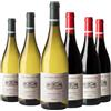 Fattoria Del Teso Degustazione 6 bt Montecarlo - Fattoria del Teso