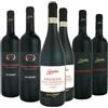 Gamba Degustazione 6 bt Valpolicella - Gamba