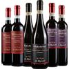 Le Bignele Degustazione 6 bt Valpolicella - Le Bignele