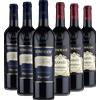 Tommasi Degustazione Veneto 6 bt - Tommasi