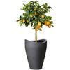 Scheurich Wave Globe High, Vaso Alto in plastica, Granito Nero, Diametro 29,8 cm, Altezza 40 cm, 6 Litri Vol.