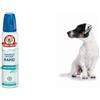 Bayer Shampoo Mousse Rapid Muschio Bianco 300 ml sano & bello