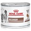 ROYAL CANIN CANE E GATTO DIET RECOVERY DA 195 GR IN LATTINA