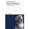 Mimesis Forme in evoluzione