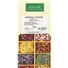 Solimè ARTEMISIA VOLGARE SOMMITA' TAGLIO TISANA 100 G