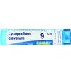 BOIRON Srl BO.LYCOPODIUM CLAVATUM*9CH 80G