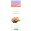 DERBE SHAMPOO ANTI UNTUOSITA' 200 ML