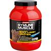 Enervit Sport Linea Gymline Muscle 100% Whey Protein Concentrate Vaniglia 2x700g