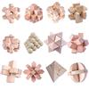 Coriver 12 Pezzi Rompicapo in Legno Puzzle Logica Puzzle, IQ Test Challenge GamesToy 3D Puzzle ad Incastro Gioco di sbrogliamento per Bambini Adolescenti Adulti