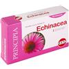 Kos Principia - Echinacea Estratto Secco, 60 Compresse