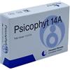 Biogroup PSICOPHYT REMEDY 14A 4 TUBI 1,2 G