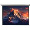 celexon schermo manuale Professional 240 x 180 cm - 118
