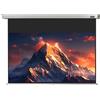 celexon schermo manuale Professional 280 x 158 cm - 127