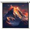 celexon schermo manuale Professional 280 x 280 cm - 156
