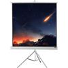 celexon Treppiede Economy 244 x 244 cm - White Edition