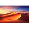 celexon Schermo a cornice Expert PureWhite 250 x 140 cm