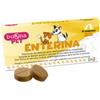 Steve Jones Buona Pet Enterina Integratore per Disturbi Intestinali di Cani e Gatti 10 compresse