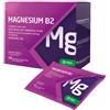 Krka MAGNESIUM B2 300/2MG 20 BUSTINE