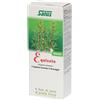 Salus Haus EQUISETO SUCCO 200 ML