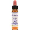 Natur GENTIAN ESSENZA 10 ML 1 PEZZO