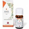 FITOMEDICAL EUCALIPTO OLIO ESSENZIALE 10 ML