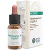 Forza Vitale ECOSOL QUINTESSENZA DI CAJEPUT GOCCE 10 ML