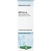 Erba Vita BETULLA FOGLIE SOLUZIONE IDROALCOLICA 50 ML