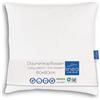 LINEA by Böhmerwald - Cosy - Cuscino Morbido a 3 camere, Interno: 100% Piuma, camere Esterne: 90% piumino/10% Piuma, Anallergico, Lavabile Fino a 60 °C, Prodotto in Germania, 80 x 80 cm