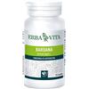 ERBA VITA GROUP SPA BARDANA 125TAV 400MG