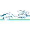 Mast Industria Italiana LENTI A CONTATTO HD COMFORT LENS 3,75 30 PEZZI