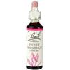 SCHWABE PHARMA ITALIA SWEET CHEST BACH ORIG 20 ML