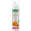 Rausch Linea Fissaggio Capelli Hairspray Strong Aerosol Tenuta Forte 250ml