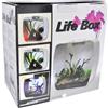 Lucky Reptile Lucky Rettile Life Box terrario Design