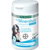 Elanco NEO MINERALSALZ REINTEGRANTE BARATTOLO 220 G
