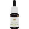 Australian Bush Flower Essences Banksia Robur 15ml