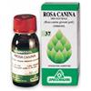 SPECCHIASOL Srl ROSA CANINA MG 1DH 50ml