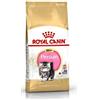 ROYAL CANIN GATTO KITTEN PERSIAN 2 KG