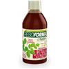 Pesoforma Nature Integratore Drenante con Betulla e Zenzero 500 ml