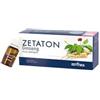 ZETA FARMACEUTICI SpA Zetaton Ginseng Zetabiol 12x10ml