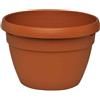 Biscottini Anfora vaso terracotta toscana 80x35x25 cm | Vasi terracotta  grandi fatti a mano | Anfore da giardino decorative e funzionali